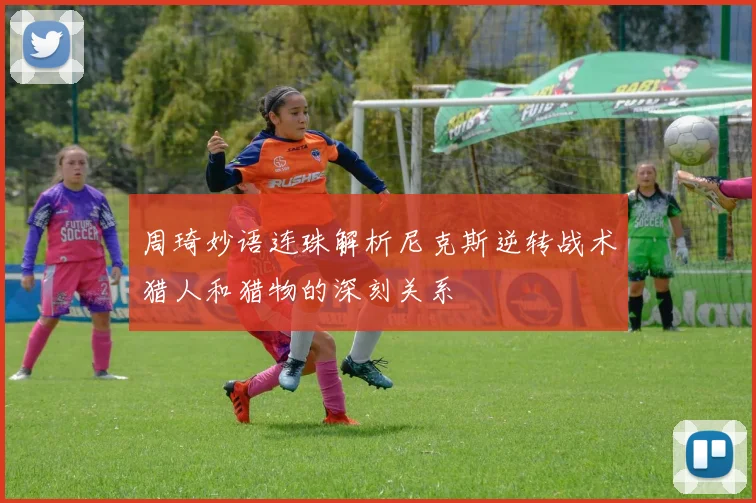 周琦妙语连珠解析尼克斯逆转战术猎人和猎物的深刻关系